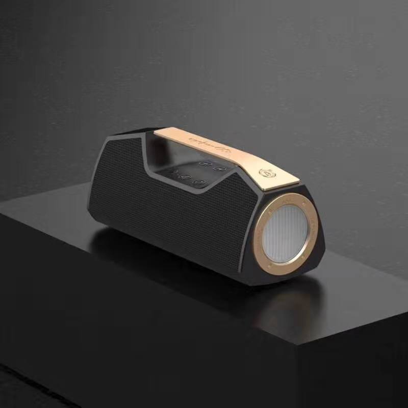 Speaker